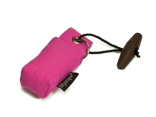 Mystique Mini Dummy Key Case Schlüsselanhänger – Bild 3