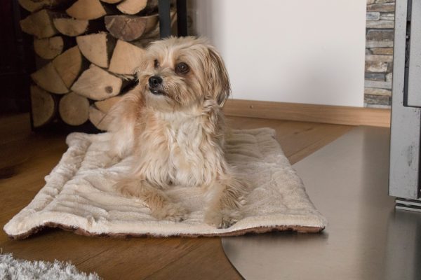 TrendPet Relax - Plüsch Liegedecke – Bild 3