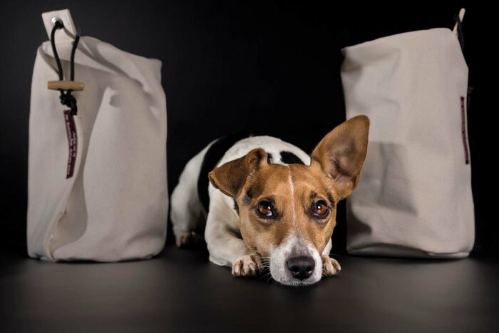 Preydummy: Der original Futterbeutel von Natural Dogmanship