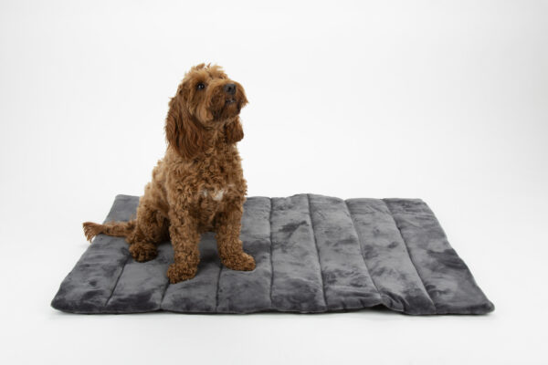 Scruffs Expedition Roll Up Travel Pet Bed - Hunde Reisebett