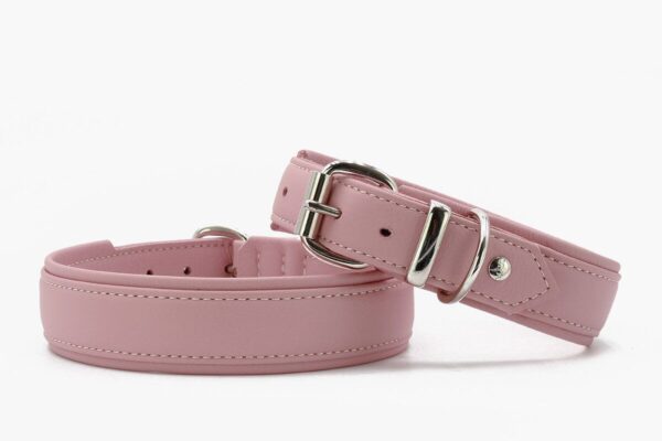 Lederhalsband Klassik Soft Holi Color – Bild 2