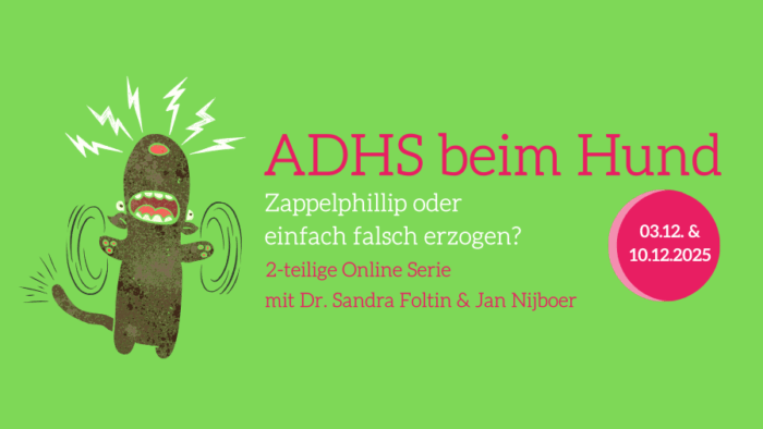 ADHS- Zappelphillip(7)