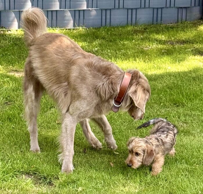 Felix_Fiete_Stress_Gabler_Rohrhurst_2025_09